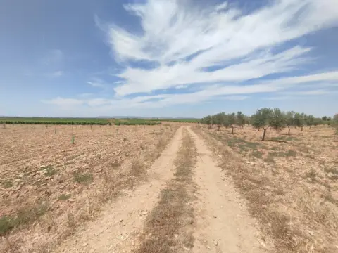 Finca rústica en Membrilla